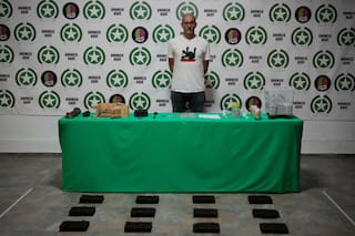 Del exceso narco al arte: artistas colombianos se inspiran en los hipopótamos de Pablo Escobar