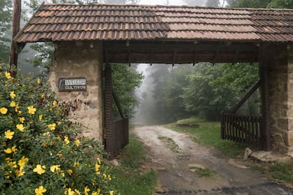 Del jardín al laboratorio: El microclima ideal para el cultivo de plantas con propiedades medicinales y cosméticas motivó que en 1987 la compañía suiza Weleda radicara en esta aldea de montaña el único “open garden” de Argentina.