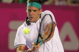 Del Potro venció a Dzumhur y se instaló en la final del Abierto de Los Cabos