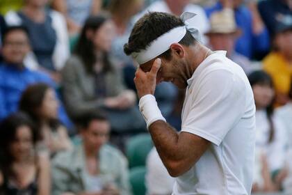 Del Potro no pudo con el número 1 del mundo