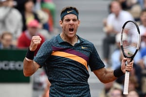 Del Potro logró una cómoda victoria frente a Thompson y está en los octavos