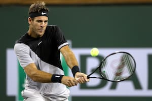 Indian Wells: Del Potro venció a Ferrer y se medirá en octavos con Mayer