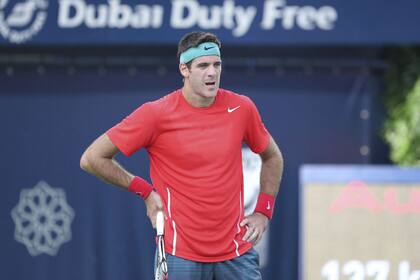 Del Potro, el gran anhelo del equipo argentino