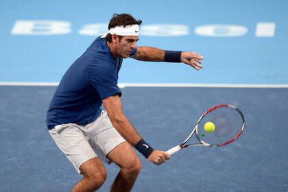 Del Potro en busca de su lugar en semifinales