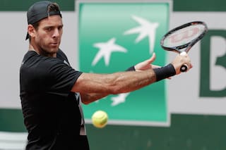 Roland Garros: cuándo debuta de Del Potro y los partidos de los otros argentinos