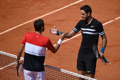 Del Potro ganó y es semifinalista de Roland Garros