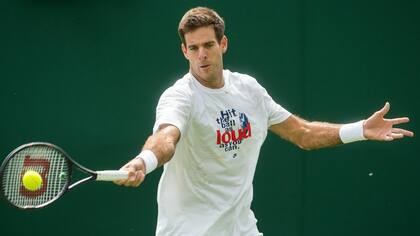 Del Potro, nuevamente en acción