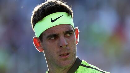Del Potro se medirá mañana frente a Johnson