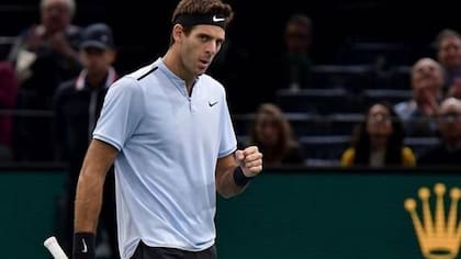 Del Potro se metió en las semifianles del ATP 250 de Auckland