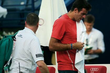 Del Potro sufrirá una caída en el ranking