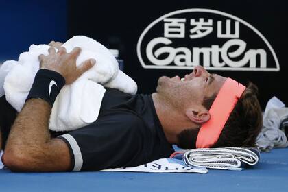 Del Potro tuvo que ser atendido