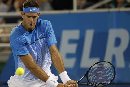 Del Potro y su revés a dos manos