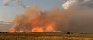 El drama de un productor pampeano al que el fuego le devoró casi todo el campo y perdió más de $210 millones