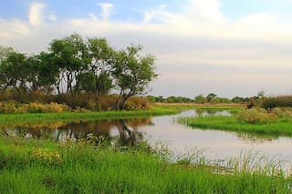 Los gauchos del agua, los últimos representantes de una cultura