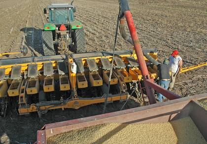 Ya hay un posicionamiento de los productores de cara a la próxima campaña agrícola: venden lo que tienen cosechado y convierten en insumos 