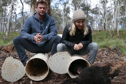 Los actores Chris Hemsworth y Elsa Pataky colaboraron con la iniciativa