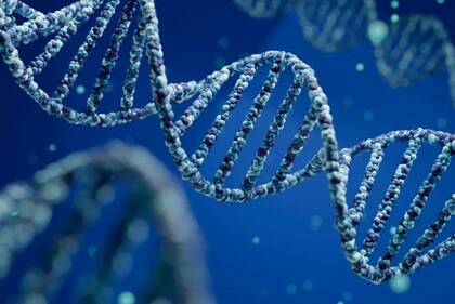 Migrantes podrían tener que que entregar pruebas de ADN al Uscis en el marco de sus trámites