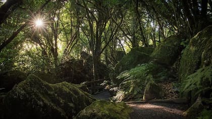 Denize Bluffs, en el valle Mangaotaki de Nueva Zelanda, proporcionaron varios lugares de rodaje de "El señor de los anillos".