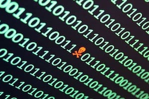 Dentro de 15 años podría haber el mayor catástrofe informático, conocido como el Efecto 2028