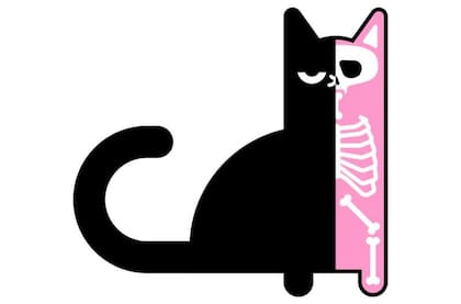 Dentro de la caja, el gato está vivo y muerto simultáneamente.