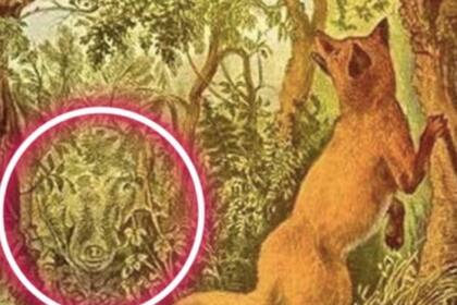 Dentro de la circunferencia, la imagen oculta que resultó ser un jabalí.