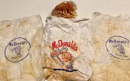 Dentro de la pared del baño, un hombre encontró algo que lo sorprendió (Foto: Reddit)