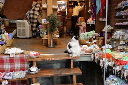 Dentro de una tienda