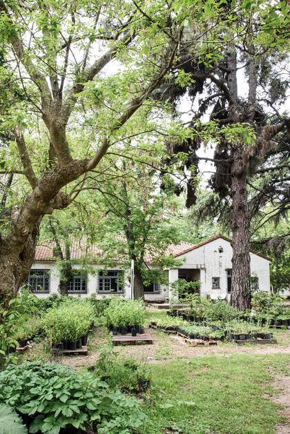 Dentro del Parque Arenaza, en Boulogne, se encuentra el predio de Havispa, un lugar de trabajo cooperativo y de aprendizaje constante