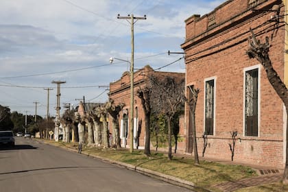 Dentro del partido de Suipacha, el pueblo es como un viaje en el tiempo