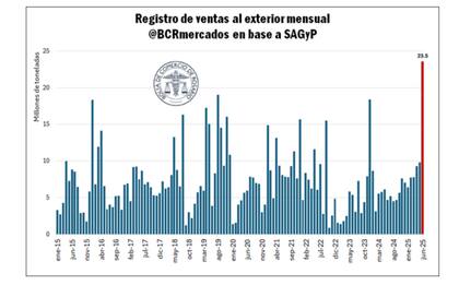 Dentro del período analizado, destacaron las operaciones de junio 2025, ya que solo en ese mes se anotó una tercera parte del total de DJVE registradas en el semestre (el 36%, para ser más exactos, por 23,53 Mt)