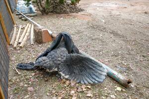 Denuncian el desmantelamiento de un monumento en la plaza El Salvador, en el Bajo Belgrano