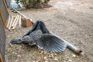 Vecinos denuncian la remoción de un monumento: cuál es y la respuesta oficial