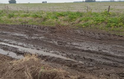 Denuncian falta de transparencia y caminos en mal estado pese a altos niveles de recaudación