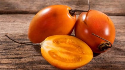 Dependiendo de la región, se le conoce con diferentes nombres, como tomate andino, tomate serrano, sachatomate o tomate de yuca
Foto: iStock