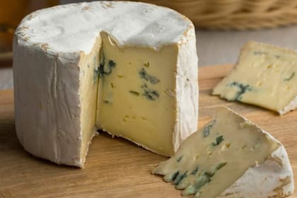 Dependiendo el tipo de queso, se puede seguir consumiendo o no