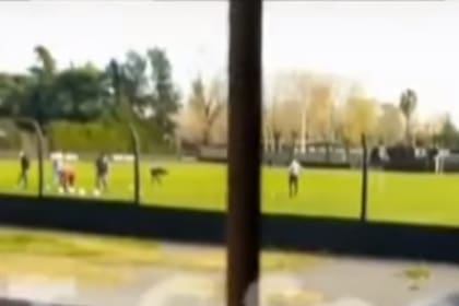 Jugadores de Riestra fueron filmados haciendo ejercicios con pelota en el estadio, lo que provocó la indignación gubernamental y de la AFA.