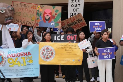 Derek Guy decidió contar su historia migrante, en medio de las protestas en todo el país contra las políticas migratorias (AP Foto/Damian Dovarganes)