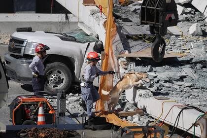 Los bomberos de la ciudad emplearon aparatos de escucha de alta tecnología, perros y cámaras de búsqueda en una lucha contra el reloj para encontrar a sobrevivientes entre los escombros