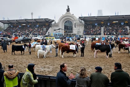 Des desfile de los grandes campeones de todas las razas por la pista central 