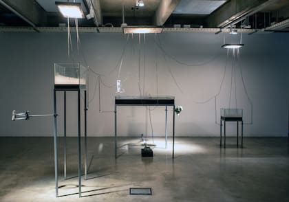"Desafíos V", instalación de arte, ciencia y tecnología