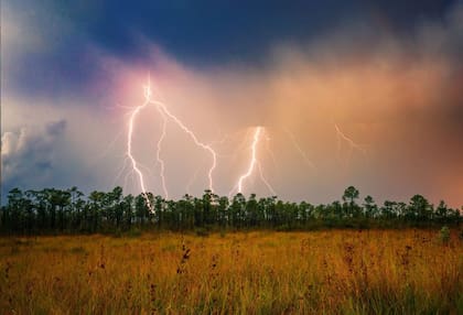 DeSantis realzó la restauración de Everglades