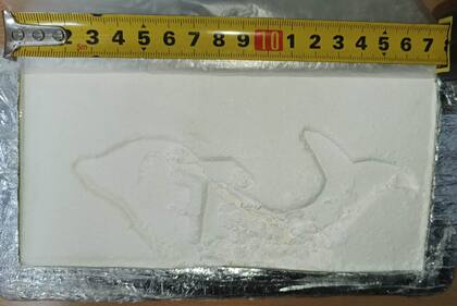 Los ladrillos de cocaína tenían el logo de un delfín