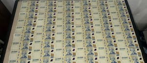 Billetes de $20.000, la pista que puso al descubierto una banda que falsificaba dólares y pesos