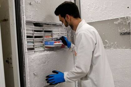 Descifrar la importancia de las células T no es solo una cuestión de curiosidad académica.