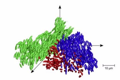 Descripción gráfica del vídrio líquido, nuevo estado de la materia