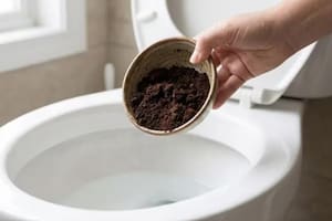 Por qué se recomienda tirar café usado en el inodoro y los beneficios de este truco casero