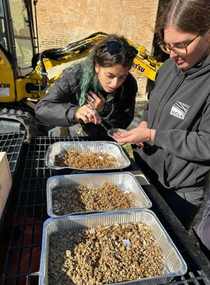 Descubren dentro de una ánfora griega en Sicilia alimento de hace más de 20 siglos