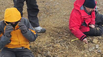 Descubren en la Antártida los restos de un lagarto gigante de más de 150 millones de años