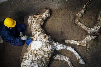 Descubren en Pompeya dos cuerpos intactos.
