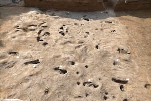 Descubren en Salerno las huellas de humanos que escaparon a la erupción del volcán Vesubio